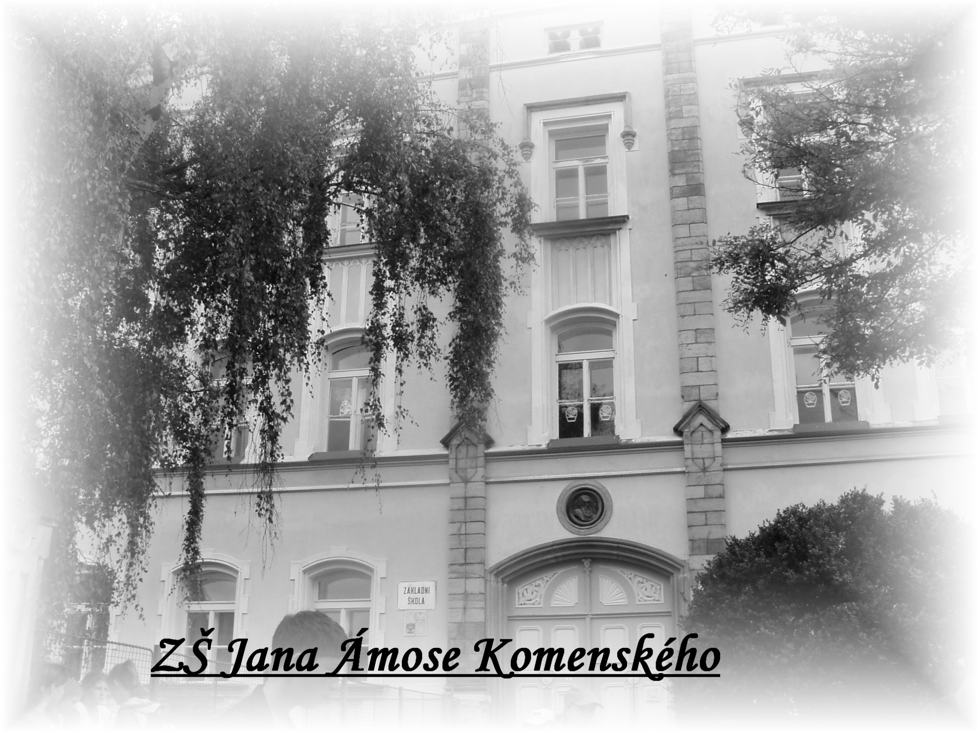 P1010089.JPG